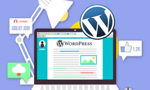 Power of WordPress