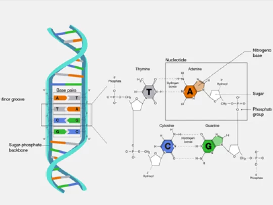 Understanding Sitemaps